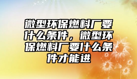 微型環(huán)保燃料廠要什么條件，微型環(huán)保燃料廠要什么條件才能進