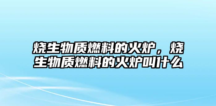 燒生物質(zhì)燃料的火爐，燒生物質(zhì)燃料的火爐叫什么