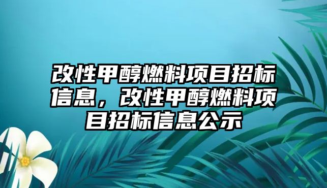 改性甲醇燃料項目招標(biāo)信息，改性甲醇燃料項目招標(biāo)信息公示