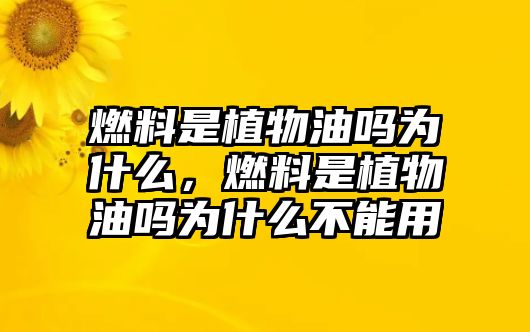 燃料是植物油嗎為什么，燃料是植物油嗎為什么不能用