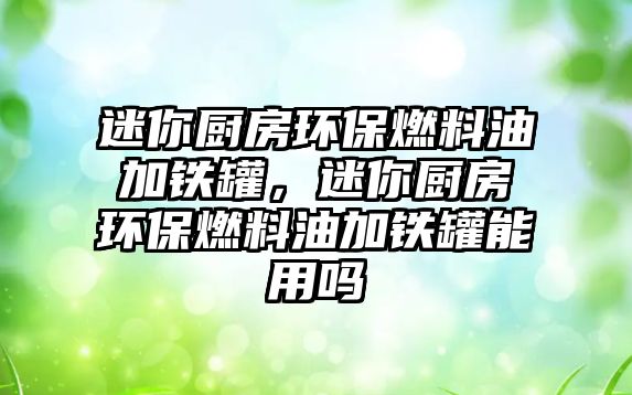 迷你廚房環(huán)保燃料油加鐵罐，迷你廚房環(huán)保燃料油加鐵罐能用嗎