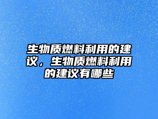 生物質燃料利用的建議，生物質燃料利用的建議有哪些