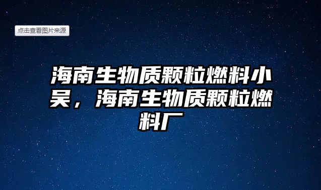 海南生物質(zhì)顆粒燃料小吳，海南生物質(zhì)顆粒燃料廠