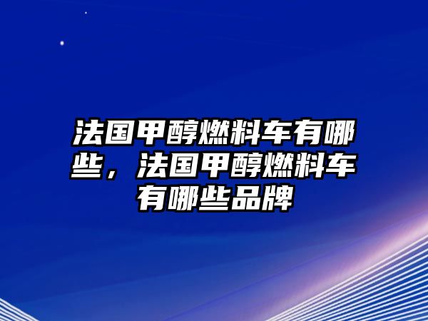 法國甲醇燃料車有哪些，法國甲醇燃料車有哪些品牌