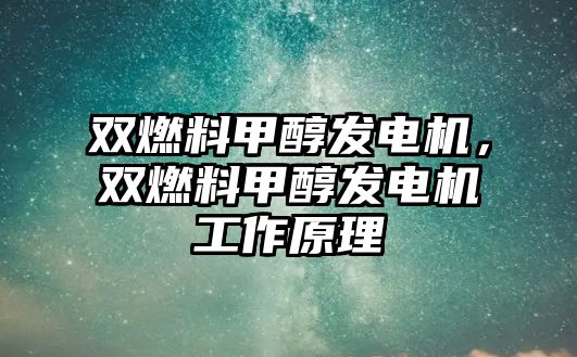 雙燃料甲醇發(fā)電機(jī)，雙燃料甲醇發(fā)電機(jī)工作原理