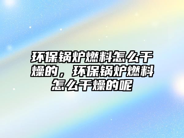 環(huán)保鍋爐燃料怎么干燥的，環(huán)保鍋爐燃料怎么干燥的呢