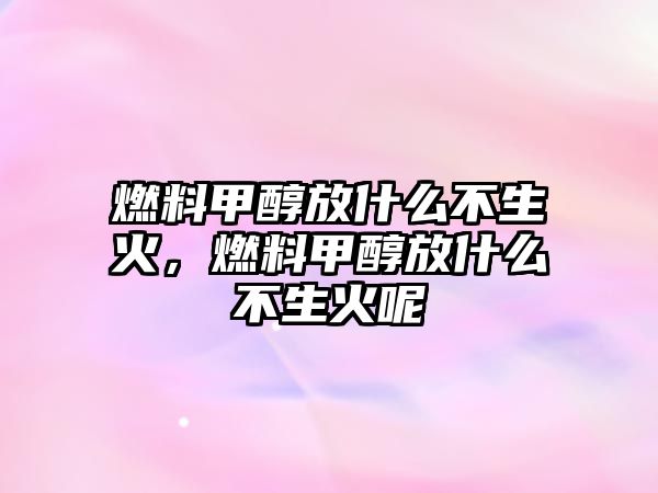 燃料甲醇放什么不生火，燃料甲醇放什么不生火呢