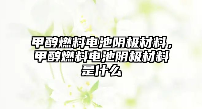 甲醇燃料電池陰極材料，甲醇燃料電池陰極材料是什么