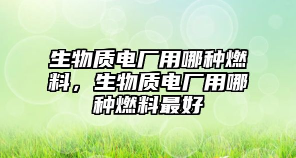 生物質(zhì)電廠用哪種燃料，生物質(zhì)電廠用哪種燃料最好