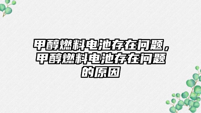 甲醇燃料電池存在問題，甲醇燃料電池存在問題的原因