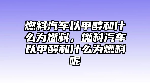 燃料汽車以甲醇和什么為燃料，燃料汽車以甲醇和什么為燃料呢