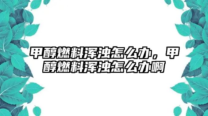 甲醇燃料渾濁怎么辦，甲醇燃料渾濁怎么辦啊