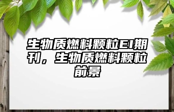 生物質(zhì)燃料顆粒EI期刊，生物質(zhì)燃料顆粒前景