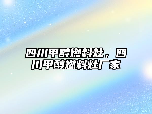 四川甲醇燃料灶，四川甲醇燃料灶廠家