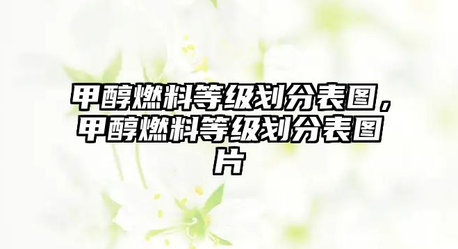 甲醇燃料等級劃分表圖，甲醇燃料等級劃分表圖片