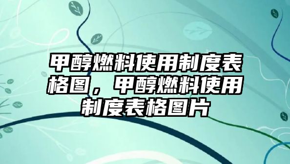 甲醇燃料使用制度表格圖，甲醇燃料使用制度表格圖片