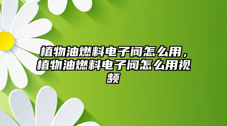 植物油燃料電子閥怎么用，植物油燃料電子閥怎么用視頻