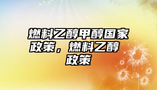 燃料乙醇甲醇國家政策，燃料乙醇 政策