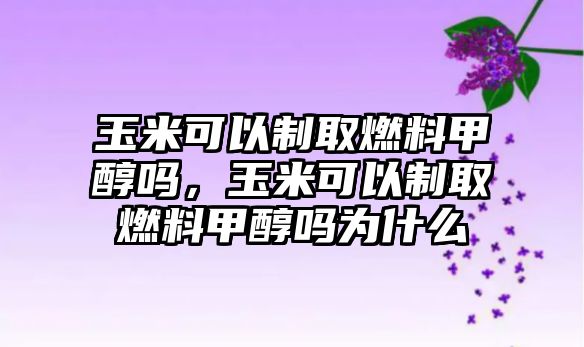 玉米可以制取燃料甲醇嗎，玉米可以制取燃料甲醇嗎為什么