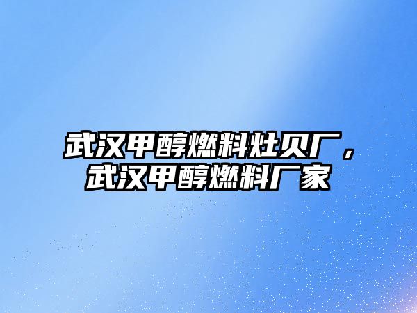 武漢甲醇燃料灶貝廠，武漢甲醇燃料廠家