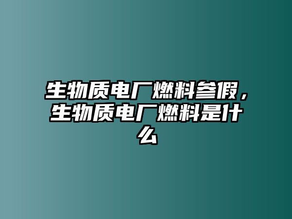 生物質(zhì)電廠燃料參假，生物質(zhì)電廠燃料是什么