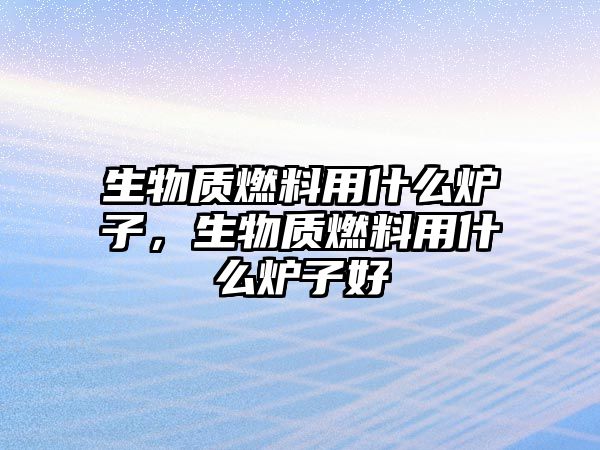 生物質(zhì)燃料用什么爐子，生物質(zhì)燃料用什么爐子好