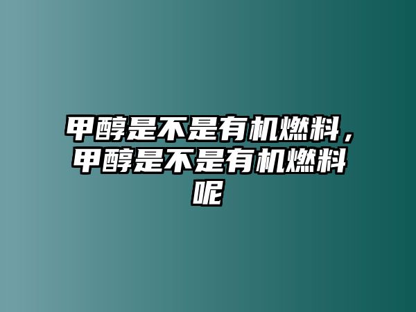 甲醇是不是有機燃料，甲醇是不是有機燃料呢