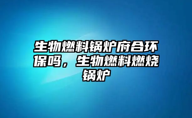 生物燃料鍋爐府合環(huán)保嗎，生物燃料燃燒鍋爐