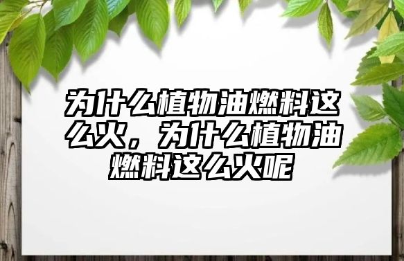 為什么植物油燃料這么火，為什么植物油燃料這么火呢