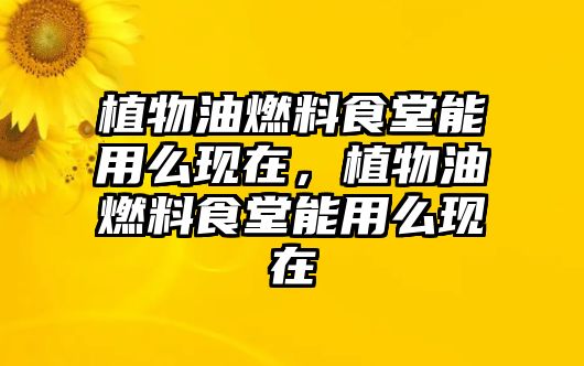 植物油燃料食堂能用么現(xiàn)在，植物油燃料食堂能用么現(xiàn)在