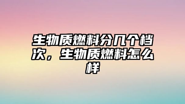 生物質(zhì)燃料分幾個(gè)檔次，生物質(zhì)燃料怎么樣