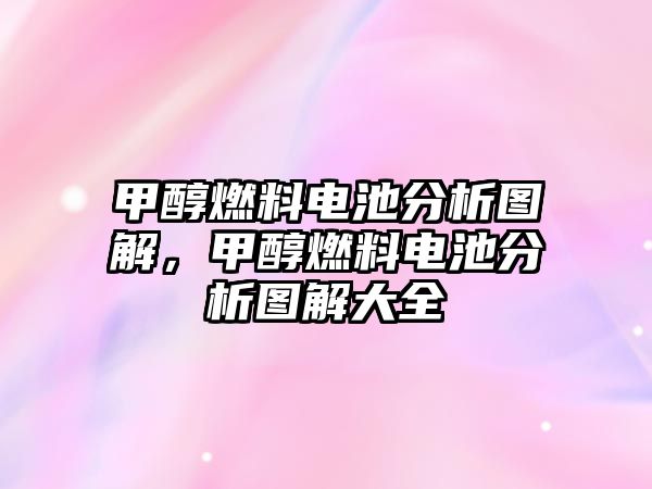 甲醇燃料電池分析圖解，甲醇燃料電池分析圖解大全