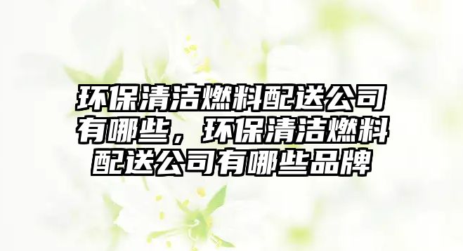 環(huán)保清潔燃料配送公司有哪些，環(huán)保清潔燃料配送公司有哪些品牌