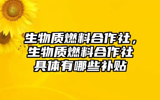 生物質(zhì)燃料合作社，生物質(zhì)燃料合作社具體有哪些補(bǔ)貼