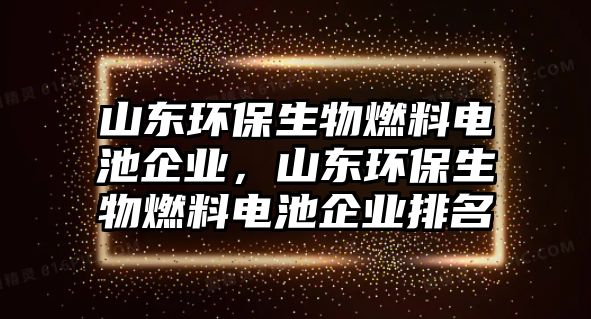 山東環(huán)保生物燃料電池企業(yè)，山東環(huán)保生物燃料電池企業(yè)排名