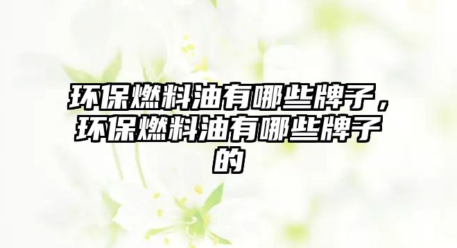 環(huán)保燃料油有哪些牌子，環(huán)保燃料油有哪些牌子的