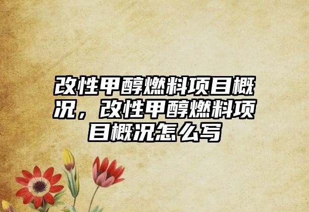 改性甲醇燃料項(xiàng)目概況，改性甲醇燃料項(xiàng)目概況怎么寫(xiě)