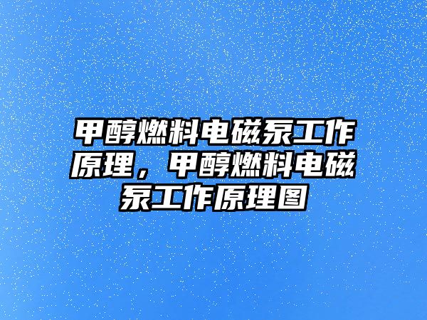 甲醇燃料電磁泵工作原理，甲醇燃料電磁泵工作原理圖