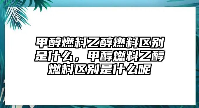 甲醇燃料乙醇燃料區(qū)別是什么，甲醇燃料乙醇燃料區(qū)別是什么呢