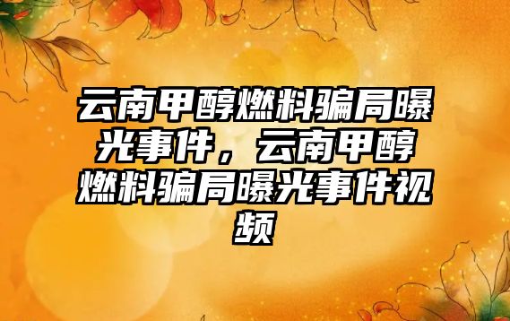 云南甲醇燃料騙局曝光事件，云南甲醇燃料騙局曝光事件視頻