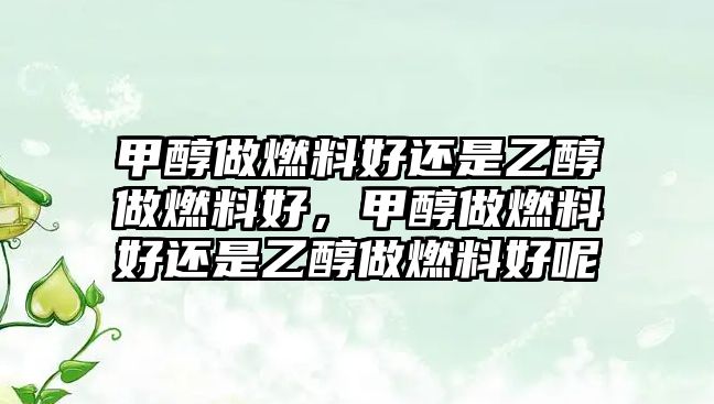 甲醇做燃料好還是乙醇做燃料好，甲醇做燃料好還是乙醇做燃料好呢