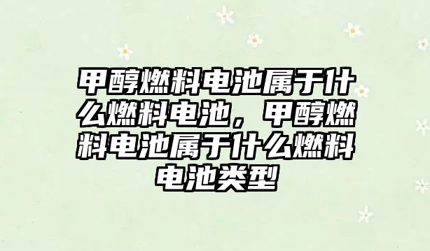 甲醇燃料電池屬于什么燃料電池，甲醇燃料電池屬于什么燃料電池類型