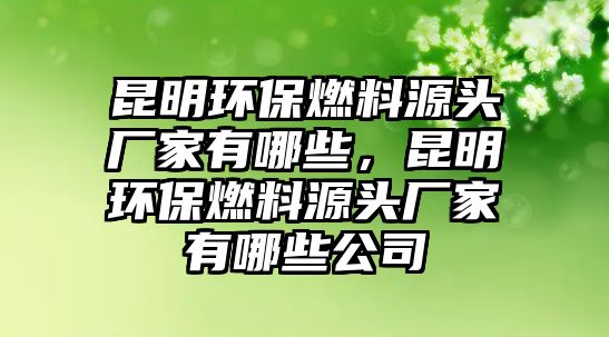 昆明環(huán)保燃料源頭廠家有哪些，昆明環(huán)保燃料源頭廠家有哪些公司