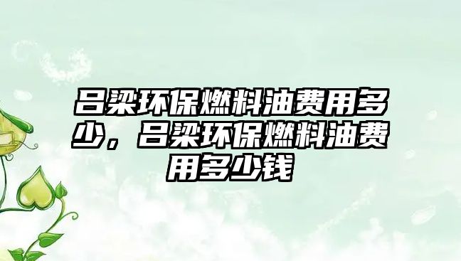 呂梁環(huán)保燃料油費用多少，呂梁環(huán)保燃料油費用多少錢