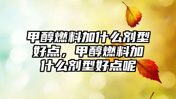 甲醇燃料加什么劑型好點，甲醇燃料加什么劑型好點呢