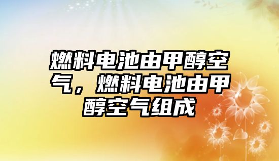 燃料電池由甲醇空氣，燃料電池由甲醇空氣組成