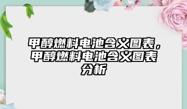 甲醇燃料電池含義圖表，甲醇燃料電池含義圖表分析