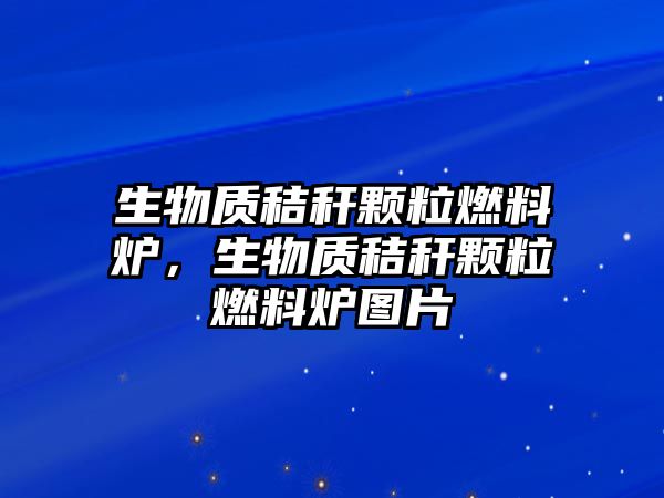 生物質(zhì)秸稈顆粒燃料爐，生物質(zhì)秸稈顆粒燃料爐圖片