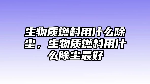 生物質燃料用什么除塵，生物質燃料用什么除塵最好