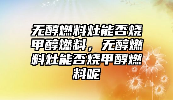 無(wú)醇燃料灶能否燒甲醇燃料，無(wú)醇燃料灶能否燒甲醇燃料呢